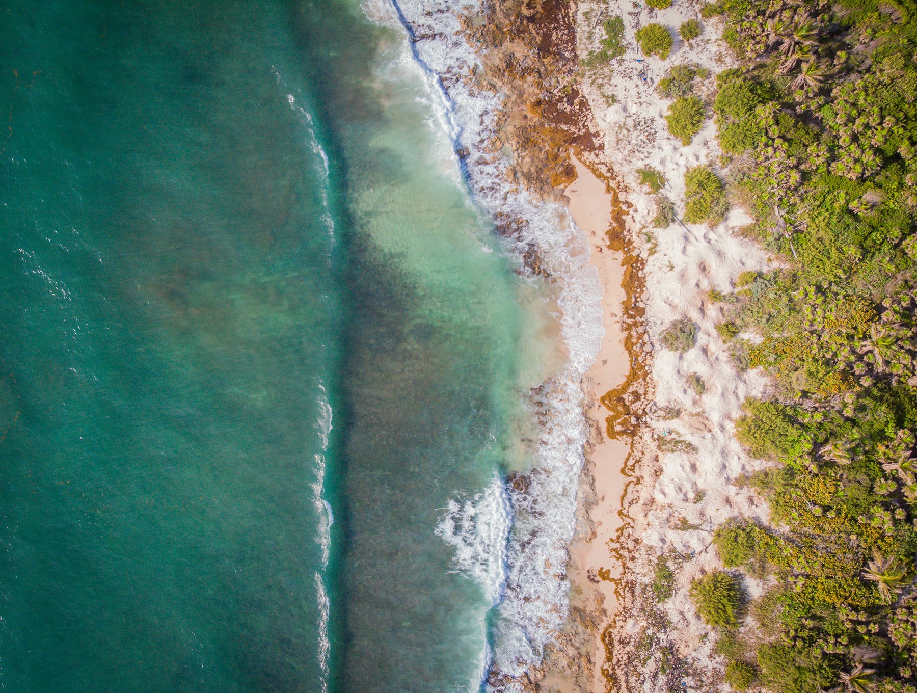 Bluetide — image 3