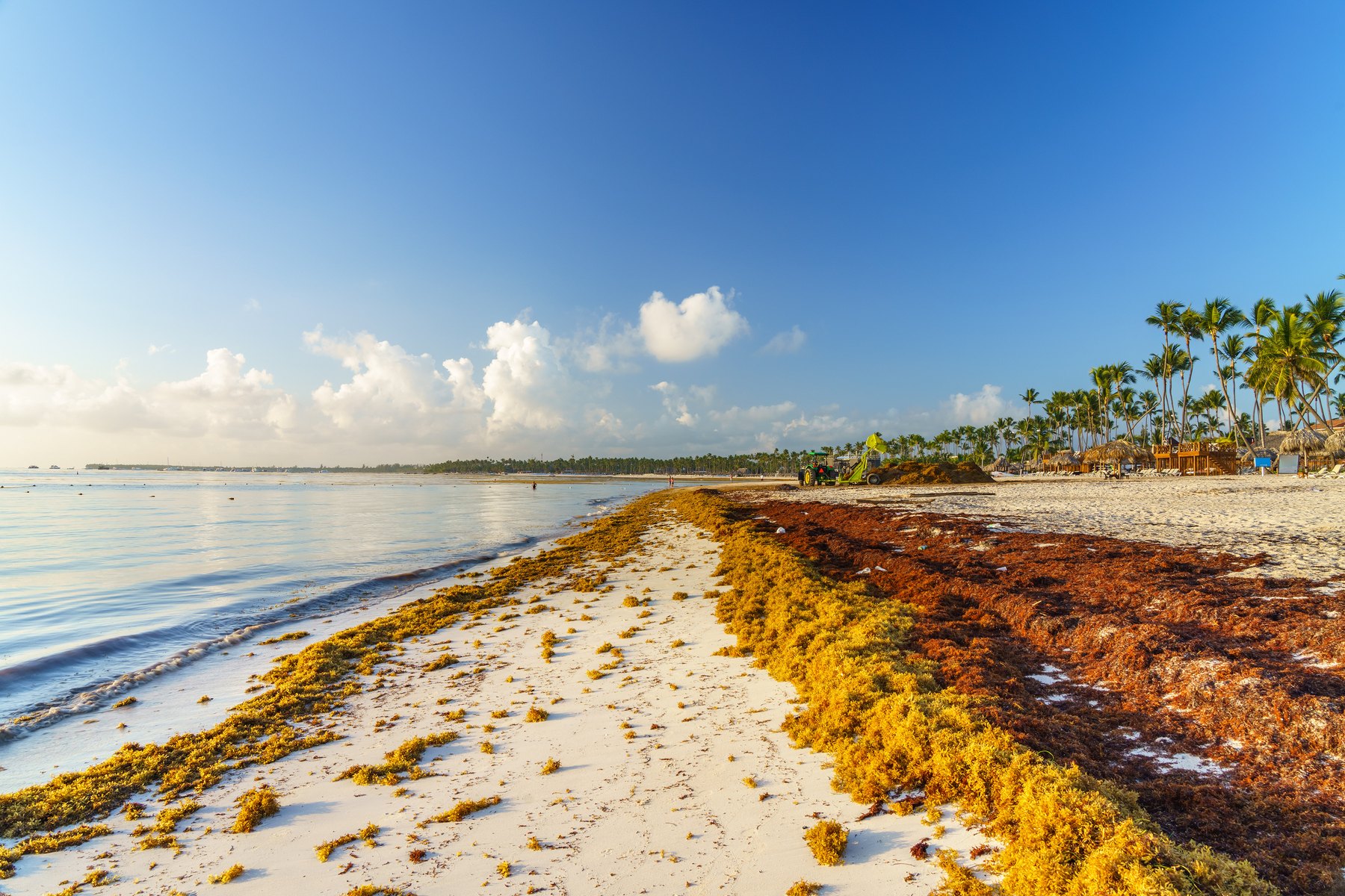Bluetide — image 2.2